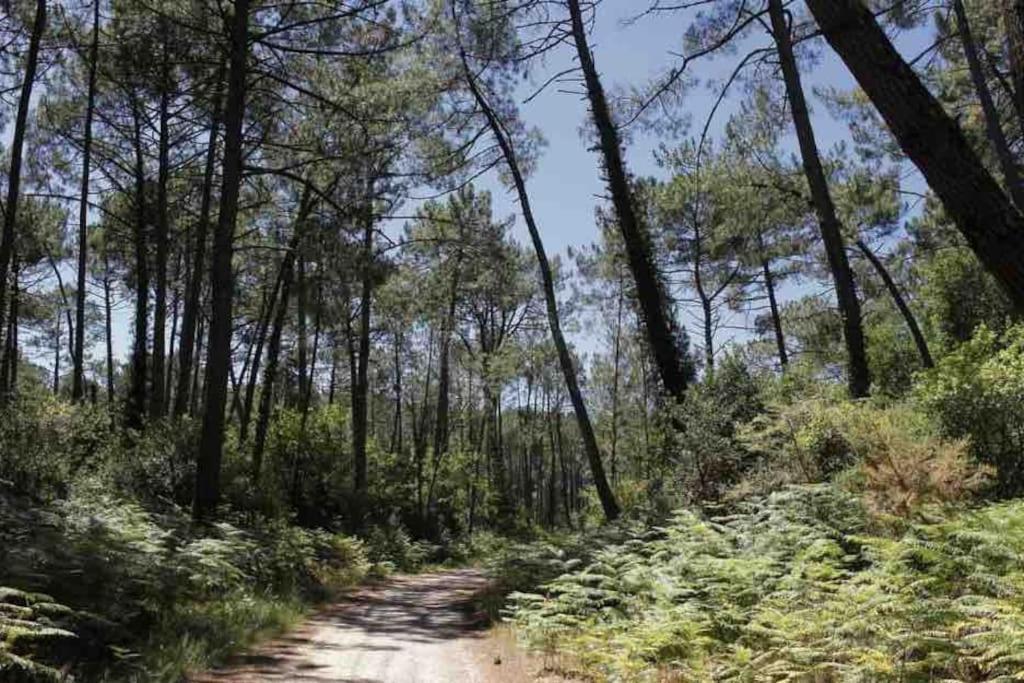 Chez Floflo Rion-Des-Landes Exterior foto