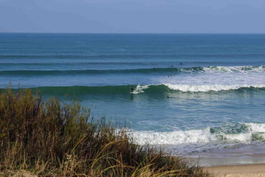 Chez Floflo Rion-Des-Landes Exterior foto
